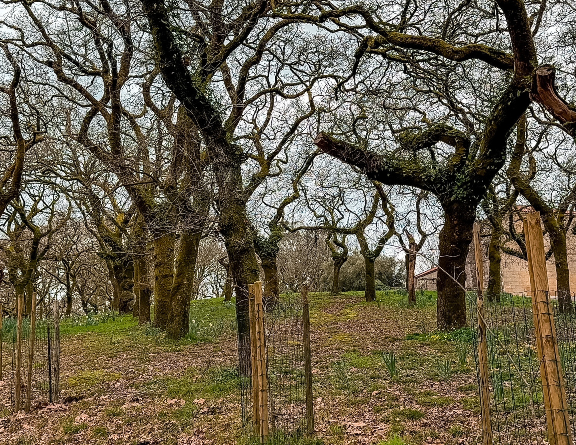 Alameda Park in Santiago de Compostela (12).png